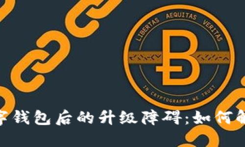 : 開通數(shù)字錢包后的升級(jí)障礙：如何解決與體驗(yàn)