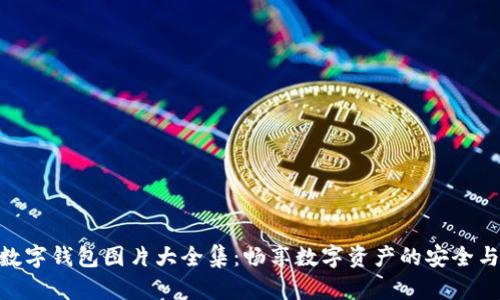 狐貍數(shù)字錢包圖片大全集：暢享數(shù)字資產(chǎn)的安全與便捷