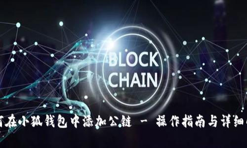如何在小狐錢(qián)包中添加公鏈 - 操作指南與詳細解析