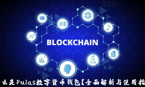 
什么是Pulas數(shù)字貨幣錢包？全面解析與使用指南