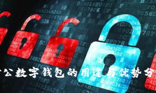 對(duì)公數(shù)字錢(qián)包的用途與優(yōu)勢(shì)分析