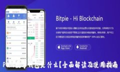   Puls數(shù)字錢包是什么？全