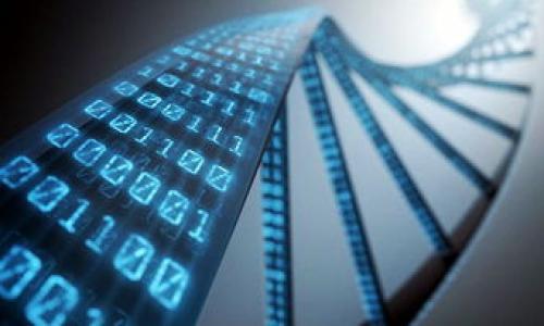 

metaMask最新安卓版：全方位指南與使用技巧

關(guān)鍵詞
MetaMask, 加密錢(qián)包, 區塊鏈/guanjianci

詳細介紹

在當今數字化時(shí)代，去中心化金融的興起使得越來(lái)越多的用戶(hù)開(kāi)始關(guān)注和使用加密貨幣，而MetaMask作為一個(gè)領(lǐng)先的數字錢(qián)包和去中心化應用（DApp）平臺，成為了用戶(hù)與區塊鏈世界的橋梁。最新的MetaMask安卓版更是增加了多種新特性，提升了用戶(hù)體驗，本文將詳細介紹MetaMask的使用方法、功能特點(diǎn)，以及常見(jiàn)問(wèn)題的解答。

MetaMask安卓版的功能特點(diǎn)

MetaMask不僅提供了一種安全的方式來(lái)存儲和管理加密貨幣，還允許用戶(hù)直接與區塊鏈進(jìn)行交互。在最新的安卓版中，引入了更多創(chuàng  )新功能，如：易用的用戶(hù)界面、更加多樣化的資產(chǎn)管理、增強的安全性以及更快的交易確認等。

1. strong用戶(hù)友好的界面/strong
新版MetaMask提供了一個(gè)更直觀(guān)的用戶(hù)界面，簡(jiǎn)化了錢(qián)包的操作步驟，使得新手用戶(hù)也能輕松上手。用戶(hù)可以快速查看自己的資產(chǎn)、交易記錄以及DApp訪(fǎng)問(wèn)歷史。

2. strong多種資產(chǎn)支持/strong
MetaMask支持以太坊和ERC-20代幣的管理，用戶(hù)可以在單一的應用程序中管理多種數字資產(chǎn)，方便性大大增強。

3. strong安全性提升/strong
最新版本增加了額外的安全防護措施，用戶(hù)可以通過(guò)面部識別或指紋識別等生物驗證技術(shù)來(lái)保護他們的錢(qián)包，進(jìn)一步保障資產(chǎn)安全。

4. strong高效交易處理/strong
MetaMask最新版了交易處理流程，用戶(hù)可以更快地完成交易，提高了在DApp中交互的流暢性。

使用MetaMask的步驟

使用MetaMask的第一步是下載并安裝應用程序。在A(yíng)ndroid設備上，可以從Google Play商店下載安裝。安裝完成后，用戶(hù)需要創(chuàng  )建一個(gè)新的錢(qián)包或恢復已有錢(qián)包。

1. strong創(chuàng  )建錢(qián)包/strong
打開(kāi)MetaMask應用，點(diǎn)擊“創(chuàng  )建錢(qián)包”，然后設置一個(gè)復雜且安全的密碼。隨后，用戶(hù)會(huì )獲得一個(gè)助記詞，務(wù)必將其妥善保存，助記詞是恢復錢(qián)包的唯一憑證。

2. strong添加資產(chǎn)/strong
可以通過(guò)‘添加資產(chǎn)’功能，將自己持有的ERC-20代幣添加到錢(qián)包中。用戶(hù)只需輸入代幣的合約地址、符號及小數位數，系統就會(huì )自動(dòng)識別并添加。

3. strong進(jìn)行交易/strong
通過(guò)MetaMask，用戶(hù)可以輕松進(jìn)行轉賬和接收加密貨幣。在主頁(yè)選擇“發(fā)送”或“接收”，按提示操作即可完成交易。

常見(jiàn)問(wèn)題分析

1. 如何保證MetaMask錢(qián)包的安全性？

MetaMask的安全性是用戶(hù)最為關(guān)注的話(huà)題，尤其是在頻繁的網(wǎng)絡(luò )攻擊和騙局發(fā)生的背景下。為了最大限度地保護錢(qián)包，用戶(hù)應采取以下幾條措施：

1. strong妥善保管助記詞和私鑰/strong
助記詞是恢復錢(qián)包的重要憑證，切勿隨意分享或存儲于網(wǎng)絡(luò )上。私鑰也同樣重要，其泄露將導致資產(chǎn)失竊。

2. strong啟用雙重認證/strong
盡可能開(kāi)啟雙重認證（2FA），這為登錄添加了一道額外的安全防線(xiàn)。

3. strong定期更新應用/strong
保持MetaMask應用的最新版本，以確保擁有最新的安全防護和功能。

4. strong小心釣魚(yú)攻擊/strong
很多騙子使用釣魚(yú)網(wǎng)站或假應用程序獲取用戶(hù)資料，務(wù)必確保訪(fǎng)問(wèn)官方網(wǎng)站或官方應用商店下載應用，避免點(diǎn)擊不明鏈接。

2. 如何處理MetaMask中的交易失敗問(wèn)題？

在使用MetaMask時(shí)，用戶(hù)偶爾可能會(huì )遇到交易失敗的情況，這可能由于網(wǎng)絡(luò )擁堵、氣體費用設置不當或合約問(wèn)題引起。處理此類(lèi)問(wèn)題的步驟如下：

1. strong檢查網(wǎng)絡(luò )狀態(tài)/strong
確保Ethereum網(wǎng)絡(luò )正常運行，可以通過(guò)一些區塊鏈瀏覽器（如Etherscan）查看網(wǎng)絡(luò )狀態(tài)。

2. strong調整氣體費用/strong
交易失敗常由于氣體費用過(guò)低，用戶(hù)可以適當提高氣體價(jià)格，以確保交易被礦工快速處理。

3. strong耐心等待/strong
有時(shí)候只是網(wǎng)絡(luò )擁堵，稍等片刻后再次提交交易或許能解決問(wèn)題。

4. strong查看交易記錄/strong
通過(guò)查看歷史交易記錄，用戶(hù)可以了解交易失敗的具體原因，如是否因余額不足、目標地址無(wú)效等問(wèn)題導致的。

3. MetaMask與其他加密錢(qián)包的對比

在選擇加密錢(qián)包時(shí)，用戶(hù)需要了解不同錢(qián)包的優(yōu)缺點(diǎn)。以MetaMask與其他流行錢(qián)包（如Trust Wallet和Coinbase Wallet）為例，進(jìn)行比較：

1. strong用戶(hù)友好性：/strong
MetaMask以其簡(jiǎn)潔易用的界面而著(zhù)稱(chēng)，適合新手用戶(hù)，而Trust Wallet同樣友好，但在界面上稍顯復雜。Coinbase Wallet則依托于Coinbase生態(tài)，用戶(hù)可以享受更多的功能，但界面復雜度稍高。

2. strong功能強大：/strong
MetaMask支持訪(fǎng)問(wèn)各種DApp和DeFi服務(wù)，用戶(hù)可進(jìn)行交易、質(zhì)押和借貸等操作。Trust Wallet同樣支持多種資產(chǎn)和DApp，而Coinbase Wallet則受制于其平臺的限制，功能相對單一。

3. strong安全性：/strong
MetaMask的私鑰和助記詞保存在用戶(hù)本地，安全性較高。但用戶(hù)需自覺(jué)防范釣魚(yú)攻擊。Trust Wallet則提供了非托管錢(qián)包的選項，安全性更上層樓。Coinbase Wallet因依賴(lài)于中心化平臺，安全性則相對較低。

4. 常見(jiàn)的MetaMask使用技巧

為了更好地利用MetaMask，用戶(hù)可以掌握一些實(shí)用技巧如下：

1. strong使用硬件錢(qián)包結合MetaMask/strong
可以將MetaMask與硬件錢(qián)包（如Ledger或Trezor）結合使用，進(jìn)一步加強安全性。用戶(hù)在進(jìn)行重大交易或持有大額資產(chǎn)時(shí)建議如此操作。

2. strong定期備份錢(qián)包/strong
定期更新助記詞并進(jìn)行備份，以避免數據丟失的風(fēng)險。

3. strong多賬戶(hù)管理/strong
MetaMask支持多賬戶(hù)管理，用戶(hù)可以根據需求創(chuàng  )建多個(gè)錢(qián)包，便于資產(chǎn)的分類(lèi)管理。

4. strong參與社區和學(xué)習/strong
加入MetaMask相關(guān)的社區或論壇，獲取最新動(dòng)態(tài)和使用技巧，與其他用戶(hù)交流經(jīng)驗，幫助自己更好地掌握MetaMask。

總之，MetaMask是一個(gè)功能強大且安全的數字錢(qián)包，用戶(hù)只需掌握基本的使用技巧和安全措施，即可順暢地在區塊鏈世界游刃有余。以上內容希望能幫助到每一位使用MetaMask的用戶(hù)，提升他們在加密貨幣與區塊鏈技術(shù)領(lǐng)域的認知和操作能力。