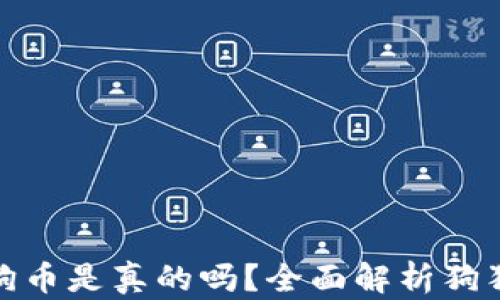 
小狐錢(qián)包存狗狗幣是真的嗎？全面解析狗狗幣存儲安全性