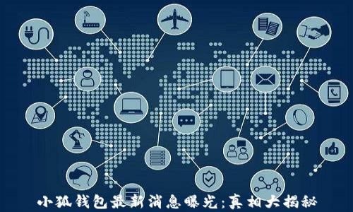 
小狐錢包最新消息曝光：真相大揭秘