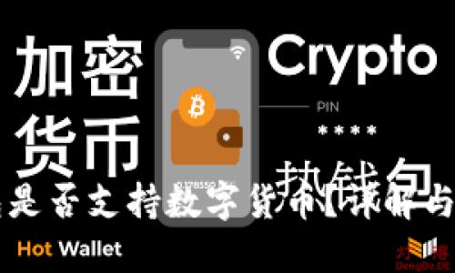 華為錢包是否支持?jǐn)?shù)字貨幣？詳解與未來展望