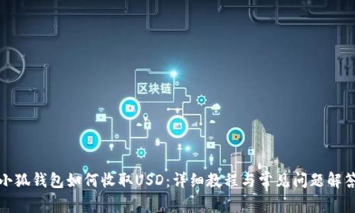 小狐錢(qián)包如何收取USD：詳細教程與常見(jiàn)問(wèn)題解答