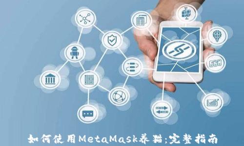 
如何使用MetaMask養貓：完整指南
