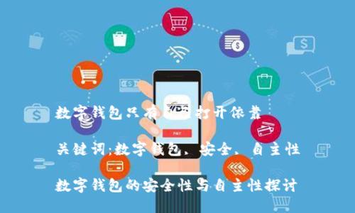 數字錢包只有自己打開依靠

關鍵詞：數字錢包, 安全, 自主性

數字錢包的安全性與自主性探討