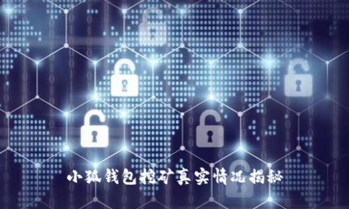 小狐錢(qián)包挖礦真實(shí)情況揭秘