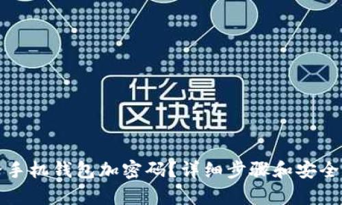 如何給手機(jī)錢包加密碼？詳細(xì)步驟和安全性分析