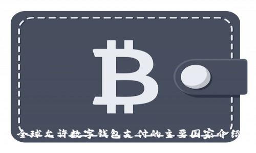 全球允許數(shù)字錢(qián)包支付的主要國(guó)家介紹
