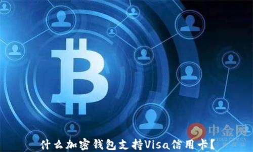 
什么加密錢包支持Visa信用卡？