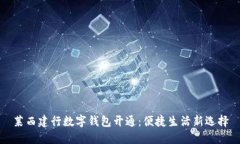 萊西建行數(shù)字錢包開通：