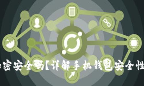 手機(jī)錢包加密安全嗎？詳解手機(jī)錢包安全性的方方面面