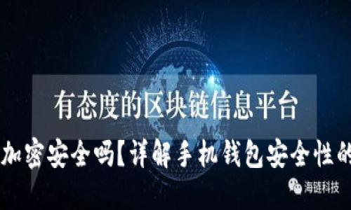 手機(jī)錢包加密安全嗎？詳解手機(jī)錢包安全性的方方面面