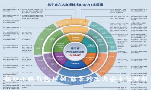 揭秘小狐錢(qián)包私鑰：能否修改與安全性分析
