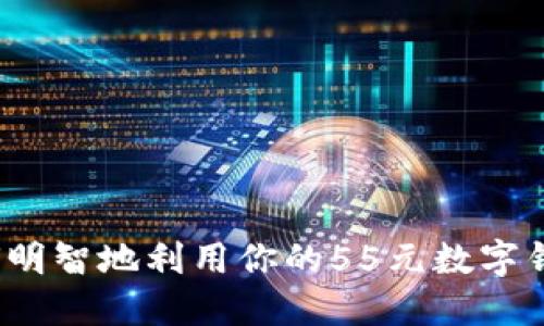 如何明智地利用你的55元數(shù)字錢包？