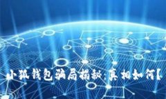 小狐錢(qián)包騙局揭秘：真相