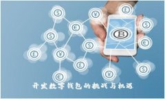 開發(fā)數(shù)字錢包的挑戰(zhàn)與機