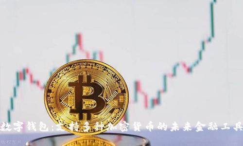 數(shù)字錢(qián)包：支持多種加密貨幣的未來(lái)金融工具