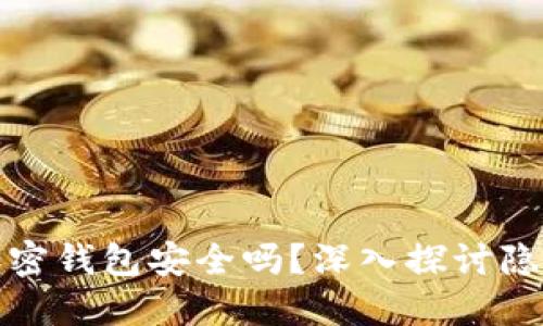一般的加密錢包安全嗎？深入探討隱私與安全