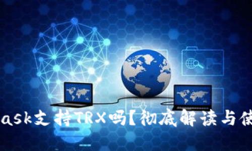 MetaMask支持TRX嗎？徹底解讀與使用指南