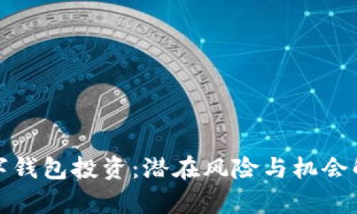 數(shù)字錢包投資：潛在風(fēng)險與機(jī)會解析