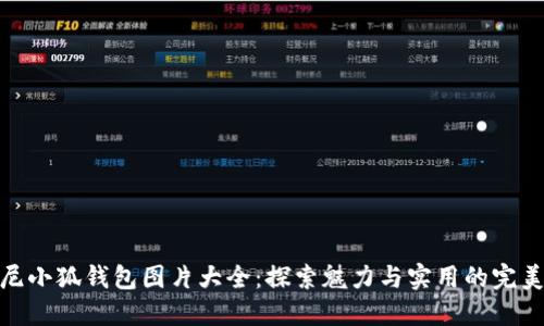 迪士尼小狐錢(qián)包圖片大全：探索魅力與實(shí)用的完美結合