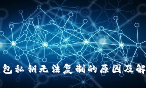 小狐錢(qián)包私鑰無(wú)法復制的原因及解決方法