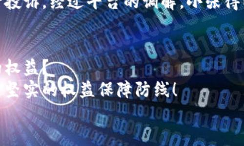 數(shù)字錢(qián)包追訴問(wèn)題：保障用戶(hù)權(quán)益的法律探討

數(shù)字錢(qián)包, 用戶(hù)權(quán)益, 法律問(wèn)題/guanjianci

引言
在數(shù)字化時(shí)代的快速發(fā)展中，數(shù)字錢(qián)包作為一種新型的金融工具，逐漸融入了我們生活的方方面面。無(wú)論是購(gòu)物支付，還是轉(zhuǎn)賬匯款，數(shù)字錢(qián)包都為我們提供了極大的便利。然而，隨著數(shù)字錢(qián)包的普及，隨之而來(lái)的法律與安全問(wèn)題也日益凸顯，尤其是當(dāng)用戶(hù)權(quán)益受到侵犯時(shí)，如何追回?fù)p失成為了一個(gè)不容忽視的話題！

數(shù)字錢(qián)包的定義與功能
數(shù)字錢(qián)包，顧名思義，是一種電子錢(qián)包，其功能不僅限于存儲(chǔ)用戶(hù)的支付信息，還支持多種交易活動(dòng)。用戶(hù)可以通過(guò)手機(jī)應(yīng)用程序進(jìn)行在線購(gòu)物、轉(zhuǎn)賬、支付賬單等多種操作，甚至能夠存儲(chǔ)銀行卡信息和個(gè)人證件，極大地提升了支付的效率與便捷性。
然而，數(shù)字錢(qián)包的便捷背后也隱藏著不少風(fēng)險(xiǎn)。例如，網(wǎng)絡(luò)安全問(wèn)題、個(gè)人信息泄露，以及因操作不當(dāng)導(dǎo)致的資金損失等情況，常常讓用戶(hù)面臨困擾。尤其是在用戶(hù)權(quán)益受到侵害或者資金損失后，如何進(jìn)行有效追訴顯得尤為迫切！

數(shù)字錢(qián)包中常見(jiàn)的法律問(wèn)題
隨著數(shù)字錢(qián)包的普及，各類(lèi)法律問(wèn)題也已逐漸浮現(xiàn)。以下是一些常見(jiàn)的法律問(wèn)題：
ul
    listrong用戶(hù)隱私泄露：/strong在使用數(shù)字錢(qián)包時(shí)，用戶(hù)的個(gè)人信息和交易記錄可能會(huì)被不法分子獲取，從而造成用戶(hù)隱私的嚴(yán)重侵犯！/li
    listrong資金安全問(wèn)題：/strong如果錢(qián)包平臺(tái)出現(xiàn)安全漏洞，用戶(hù)的資金可能會(huì)面臨損失，且這些損失有時(shí)難以追回，這無(wú)疑讓人心驚膽戰(zhàn)！/li
    listrong交易糾紛：/strong由于數(shù)字錢(qián)包的支付流程與傳統(tǒng)支付方式有所不同，許多用戶(hù)在遇到交易糾紛時(shí)不知如何維權(quán)，導(dǎo)致自己的權(quán)益受到侵害?。?li
/ul

如何保障用戶(hù)權(quán)益？
在人工智能與區(qū)塊鏈技術(shù)日益發(fā)展的今天，數(shù)字錢(qián)包的安全性與法律保障成為了各方關(guān)注的焦點(diǎn)。為了有效保障用戶(hù)權(quán)益，以下是一些建議：
ul
    listrong增強(qiáng)安全防護(hù)：/strong數(shù)字錢(qián)包平臺(tái)應(yīng)加大對(duì)安全技術(shù)的投資，采用多重加密、安全認(rèn)證等手段，提升用戶(hù)信息的保護(hù)力度。想象一下，若能在購(gòu)物時(shí)享受到絕對(duì)的安全感，那多么令人振奮?。?li
    listrong完善用戶(hù)權(quán)益保障機(jī)制：/strong平臺(tái)應(yīng)建立健全用戶(hù)投訴、維權(quán)渠道，確保用戶(hù)在權(quán)益受到侵害時(shí)能及時(shí)獲得支持與幫助。及時(shí)回應(yīng)每一位用戶(hù)的權(quán)益訴求，這本身就是對(duì)用戶(hù)最大的尊重與保護(hù)！/li
    listrong提高法律意識(shí)與風(fēng)險(xiǎn)教育：/strong用戶(hù)自身也應(yīng)增強(qiáng)法律意識(shí)，了解使用數(shù)字錢(qián)包可能面臨的風(fēng)險(xiǎn)與糾紛，在進(jìn)行交易時(shí)保持警惕，及時(shí)關(guān)注相關(guān)法律法規(guī)的變化。/li
/ul

追訴案例分析
為了更好理解數(shù)字錢(qián)包追訴問(wèn)題，以下將列舉幾個(gè)真實(shí)的追訴案例，幫助大家更好地認(rèn)識(shí)這一問(wèn)題的復(fù)雜性及其解決方式。

h4案例一：用戶(hù)信息泄露的追訴/h4
小李在某數(shù)字錢(qián)包平臺(tái)上存入了大量的資金，但不久后，在網(wǎng)絡(luò)上發(fā)現(xiàn)自己的賬戶(hù)信息被泄露。小李迅速聯(lián)系了平臺(tái)客服，并要求解釋與賠償。經(jīng)過(guò)多次溝通，小李了解到該平臺(tái)由于某一系統(tǒng)漏洞導(dǎo)致信息被竊取，最終在有關(guān)部門(mén)的協(xié)調(diào)下，平臺(tái)承諾在一定期限內(nèi)全額賠付小李的損失，并對(duì)其賬戶(hù)進(jìn)行全面安全升級(jí)！

h4案例二：交易糾紛的維權(quán)/h4
小張通過(guò)數(shù)字錢(qián)包進(jìn)行了一筆商品購(gòu)入，但商品質(zhì)量嚴(yán)重不符，導(dǎo)致小張要求退款。在多次與商家溝通無(wú)果后，小張選擇通過(guò)數(shù)字錢(qián)包平臺(tái)進(jìn)行投訴。經(jīng)過(guò)平臺(tái)的調(diào)解，小張得以順利退款，加之對(duì)商家的懲罰措施也讓其他用戶(hù)受益，真是一舉多得呀！

結(jié)論
數(shù)字錢(qián)包的便利性與風(fēng)險(xiǎn)并存，面對(duì)潛在的法律問(wèn)題與用戶(hù)權(quán)益受到的侵害，我們不禁要思考，如何在享受數(shù)字化便利的同時(shí)，有效保護(hù)自身的權(quán)益？
只有通過(guò)不斷完善平臺(tái)的安全措施、增強(qiáng)用戶(hù)的法律意識(shí)、促進(jìn)法律與金融的融合，才能在數(shù)字錢(qián)包快速發(fā)展的道路上，為每一位用戶(hù)構(gòu)建一道堅(jiān)實(shí)的權(quán)益保障防線！
未來(lái)隨著科技的發(fā)展與法律的完善，數(shù)字錢(qián)包的使用將越來(lái)越安全，讓我們共同期待那一天的到來(lái)吧！多么令人期待的未來(lái)！
