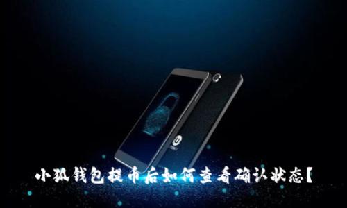 小狐錢(qián)包提幣后如何查看確認(rèn)狀態(tài)？