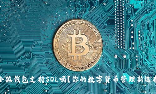 小狐錢包支持SOL嗎？你的數(shù)字貨幣管理新選擇