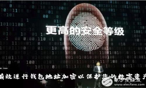  如何有效進(jìn)行錢包地址加密以保護(hù)您的數(shù)字資產(chǎn)安全 