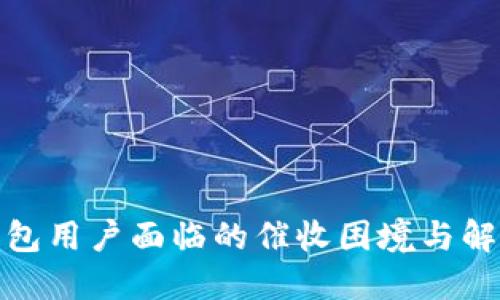 數(shù)字錢包用戶面臨的催收困境與解決方案