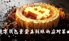 數(shù)字錢包資金未到賬的應(yīng)