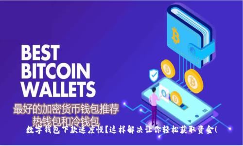 數(shù)字錢包下款速度慢？這樣解決讓你輕松獲取資金！