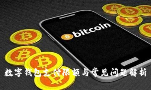 數(shù)字錢包支付限額與常見問(wèn)題解析
