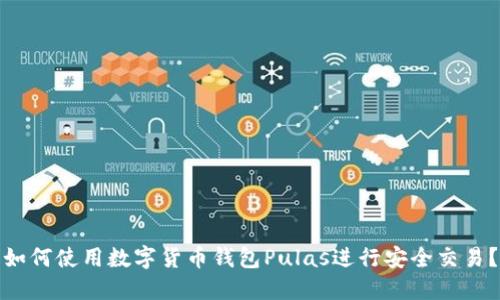 如何使用數(shù)字貨幣錢包Pulas進(jìn)行安全交易？