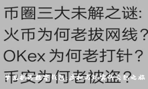 夢見挑選數(shù)字錢包：虛擬與現(xiàn)實的交織之旅