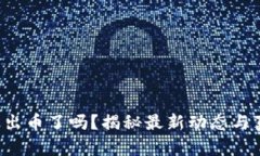 小狐錢(qián)包出幣了嗎？揭秘