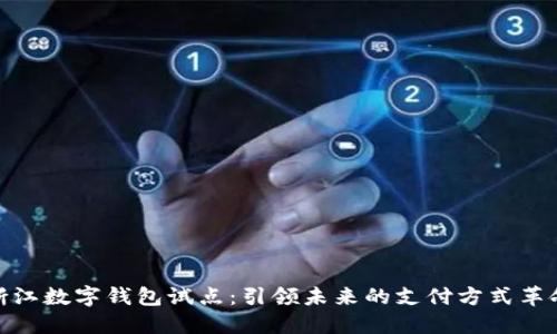 浙江數(shù)字錢包試點：引領(lǐng)未來的支付方式革命