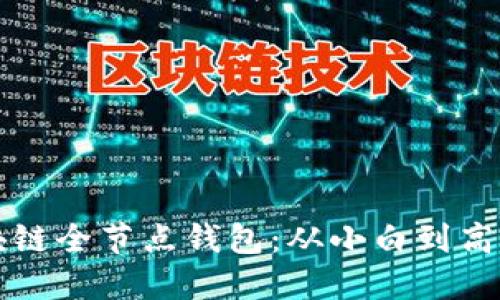 如何搭建區(qū)塊鏈全節(jié)點(diǎn)錢包：從小白到高手的全面指南