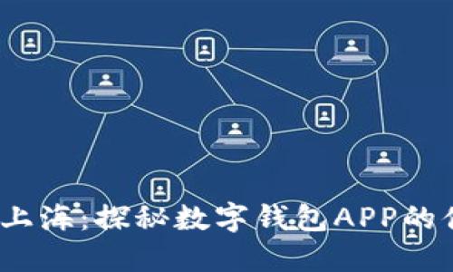 2023年上海：探秘?cái)?shù)字錢包APP的便捷世界