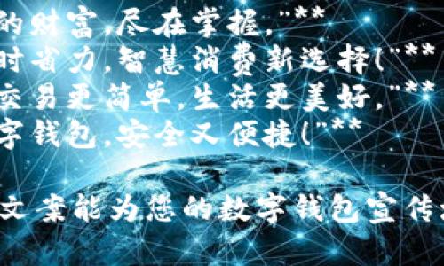 ### 數(shù)字錢包創(chuàng)意文案

1. **“輕松支付，精彩生活！”**
2. **“你的財富，盡在掌握?！?*
3. **“省時省力，智慧消費新選擇！”**
4. **“讓交易更簡單，生活更美好?！?*
5. **“數(shù)字錢包，安全又便捷！”**

希望這些文案能為您的數(shù)字錢包宣傳增添靈感！