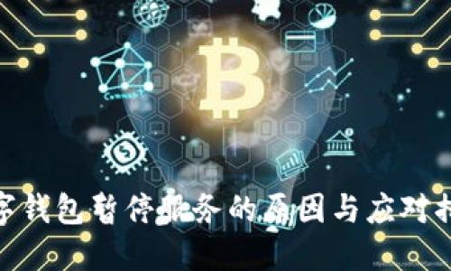 數(shù)字錢(qián)包暫停服務(wù)的原因與應(yīng)對(duì)措施