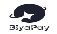數(shù)字人民幣錢包體系：開