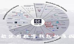 盒馬鮮生不能使用數(shù)字錢