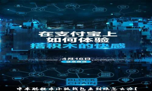 
中本聰提幣小狐錢包未到賬怎么辦？