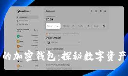 全球最安全的加密錢(qián)包：探秘?cái)?shù)字資產(chǎn)的保護(hù)之道